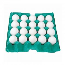 Imagem do produto 20 ovos brancos
